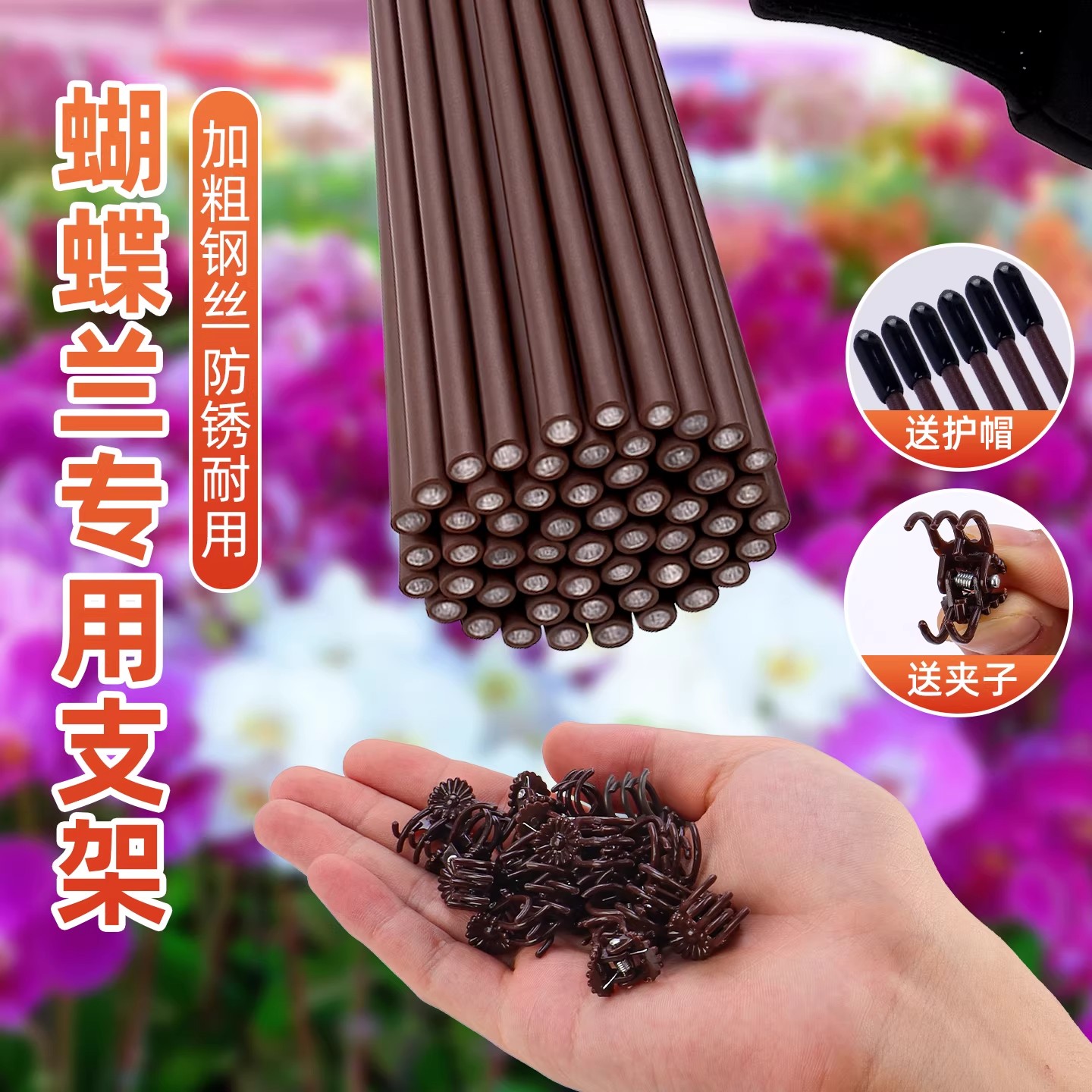 蝴蝶兰支架支撑杆爬藤蔓花卉固定专用花架子花卉植物夹花定型夹子