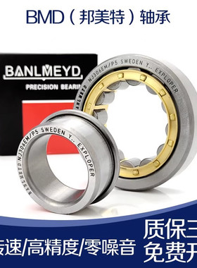 瑞典BMD进口圆柱滚子轴承NJ304 305 306 307 308 309 310 260M P5