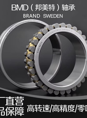 瑞典BMD进口双排圆柱滚子轴承NN3007K w33 NN3008K W33 P5 P4 P2