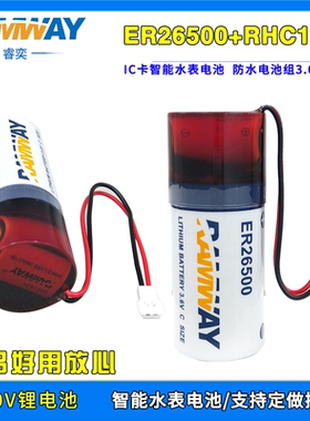 睿奕ER26500+RHC1520防水款 锂电池组3.6V智能水表 物联网 流量计
