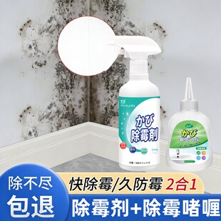 墙体除霉剂乳胶漆墙面长毛发毛清洗墙壁霉菌潮湿返潮发霉清洁