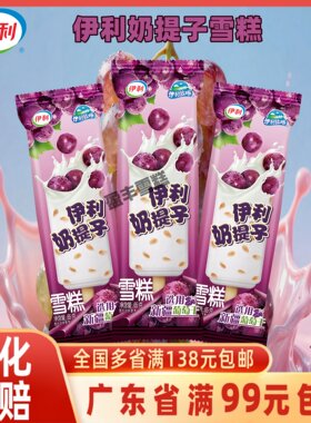 伊利冰淇淋提子香浓牛奶味蜜渍