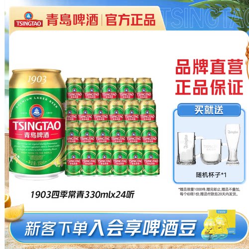 青岛啤酒1903四季常青330ml*24听