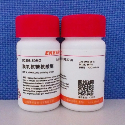 脱氧核糖核酸酶/DNase I/Deoxyribonuclease I,≥90% 科研实验