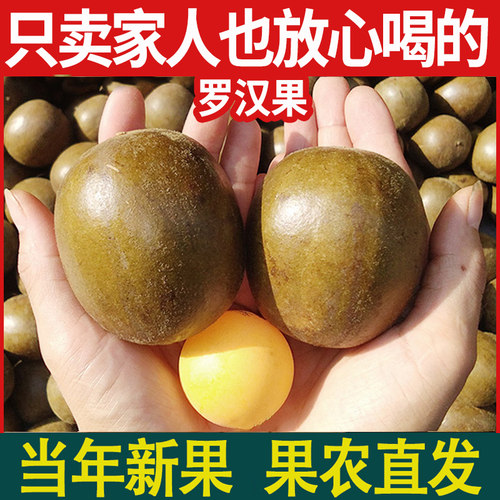 【正宗广西源头产地】桂林罗汉果
