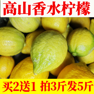 广西正宗高山香水柠檬新鲜水果当季整箱现摘奶茶店专用商用黄柠檬