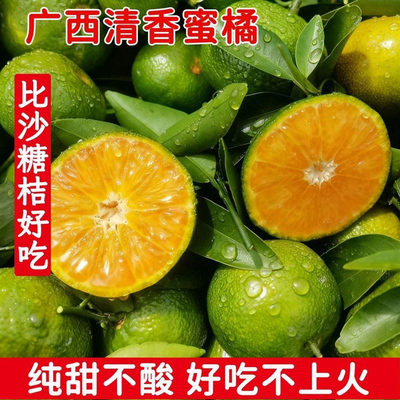 广西清香蜜桔现摘直发