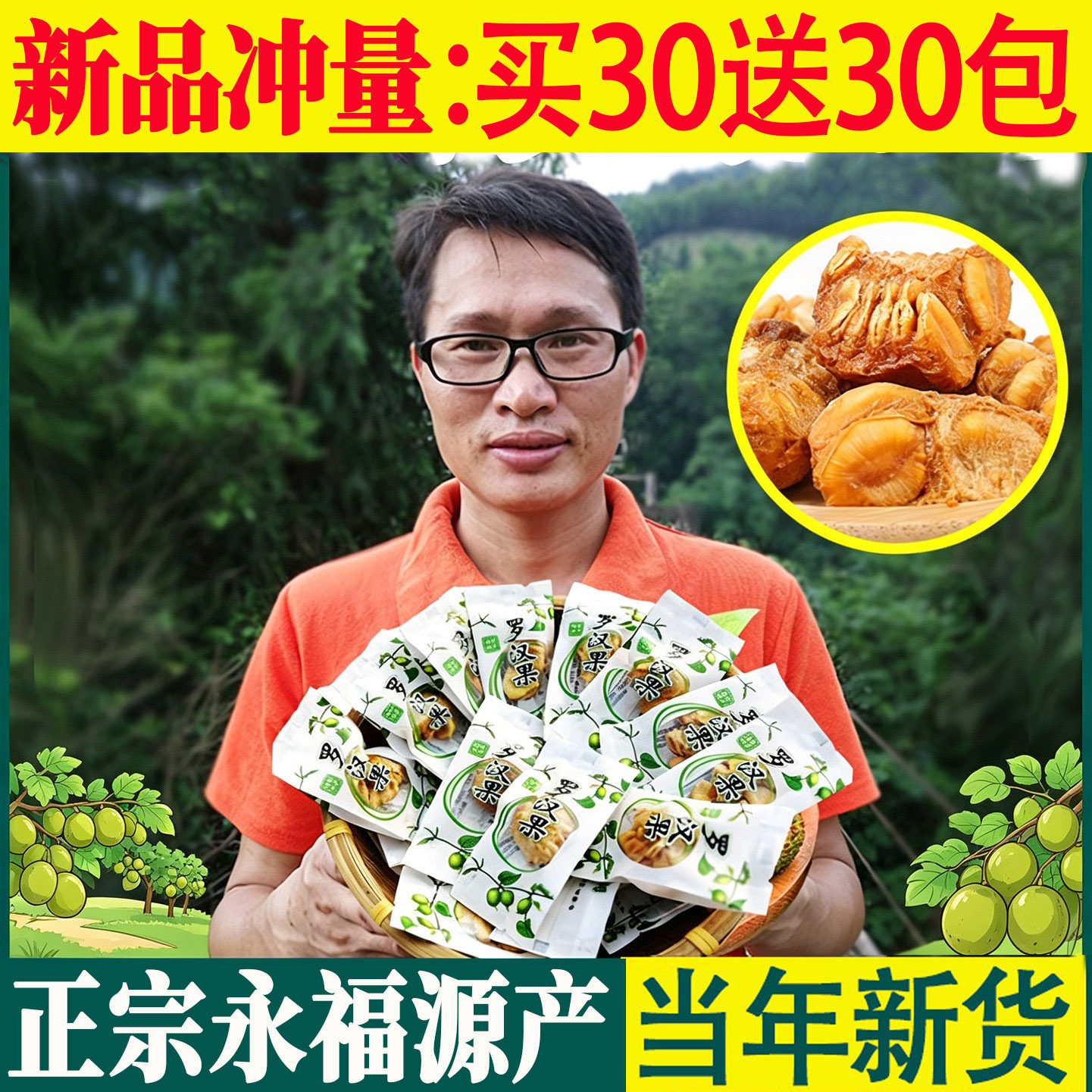 广西黄金桂林罗汉果芯干果冻干果仁果芯茶包泡茶正品心低温脱水