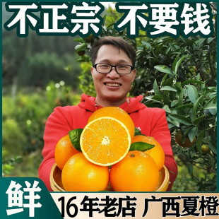 广西桂林高山夏橙新鲜当季孕妇水果现摘整箱秭归手剥酸甜脐橙子