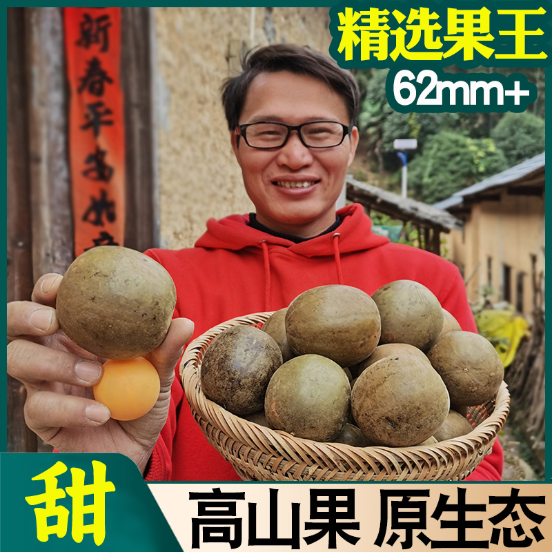 【第二件5折】罗汉果王