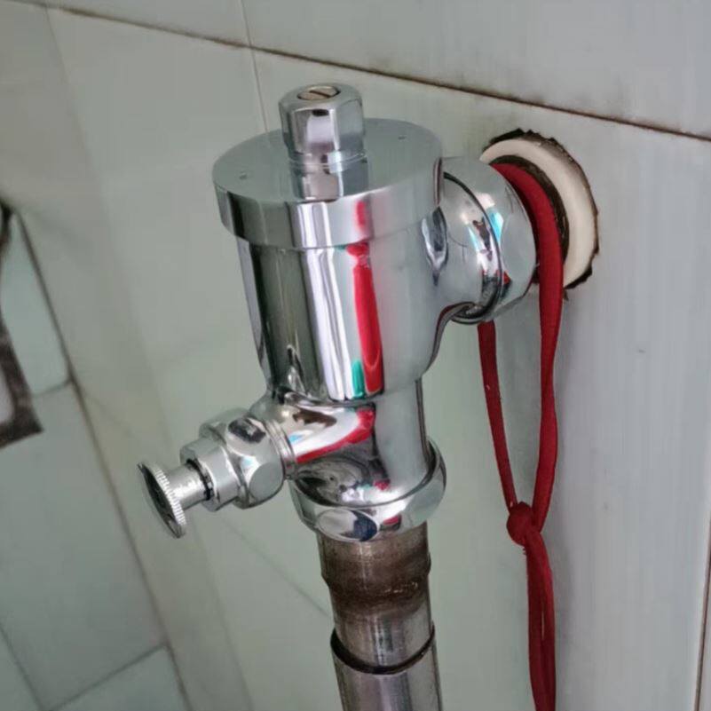 蹲便器冲水阀厕所手按式冲水阀卫生间按压冲洗阀大便开关延时阀.
