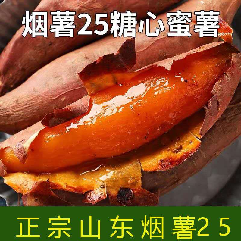 山东烟薯25 糖心红薯 烟蜜薯新鲜5斤沙地香薯烤地瓜流蜜番薯包邮