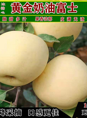 脆甜黄金奶油富士山东烟台冰糖心丑苹果非金元帅新鲜当季5斤/10斤