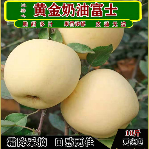 脆甜烟台冰糖心苹果水分多