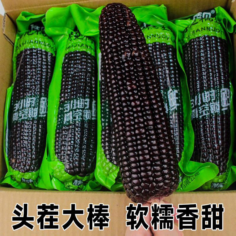 待见黑玉米新鲜糯玉米低脂代餐大棒真空装包装袋北纬山西忻州甜粘
