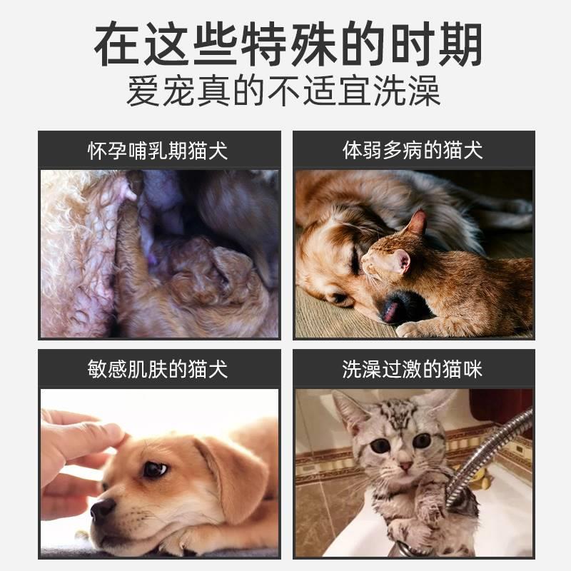 雪貂宠物猫咪免洗手套洗澡湿巾狗狗干洗专用擦脚清洁除臭神器用品