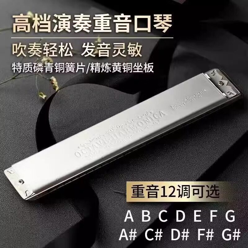 德国进口音簧24孔重音口琴#ABCDEFG调高级成人初学者专业演奏级