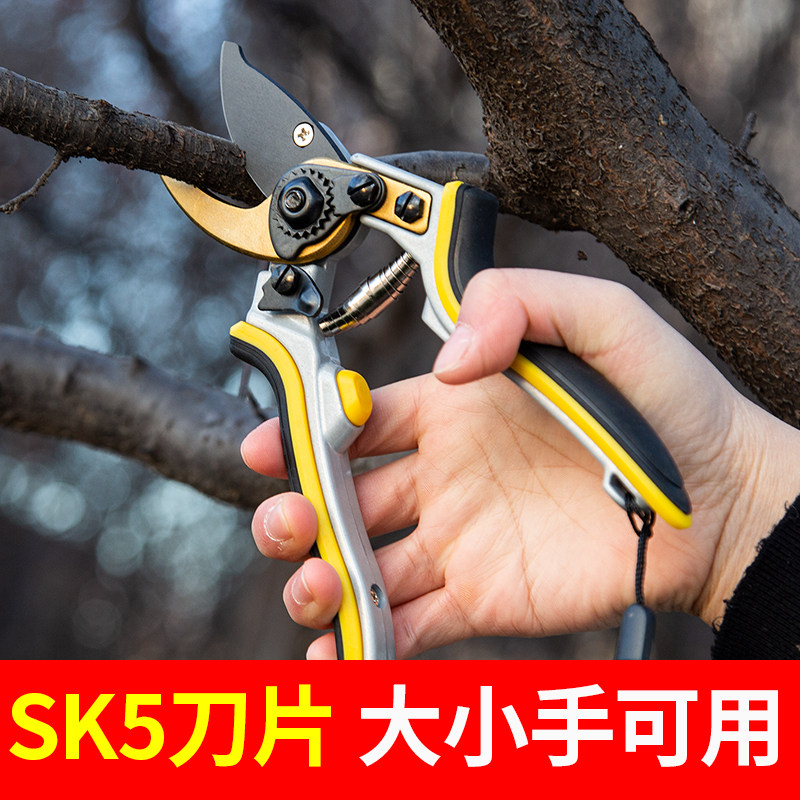 剪枝果树修枝剪刀园艺园林修花枝剪家用花艺专用剪子神器花剪工具图片