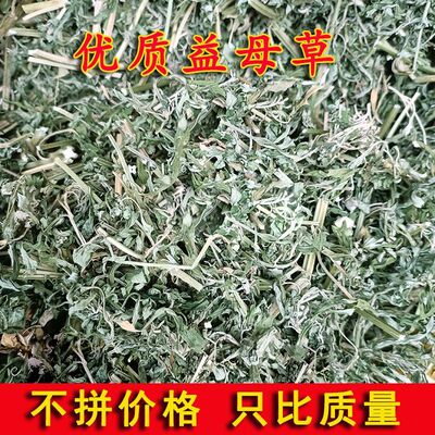 野生新货益母草2025年新货自采新鲜晒干泡水喝姨妈调理中药材正品