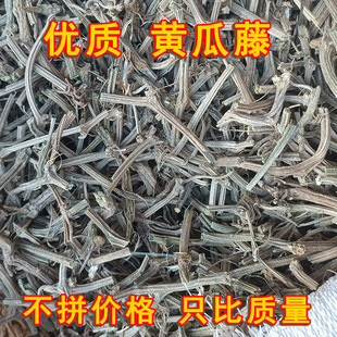 2025年新货黄瓜藤黄瓜秧黄瓜茎叶枝农家自采黄瓜瓤土方子偏方正品