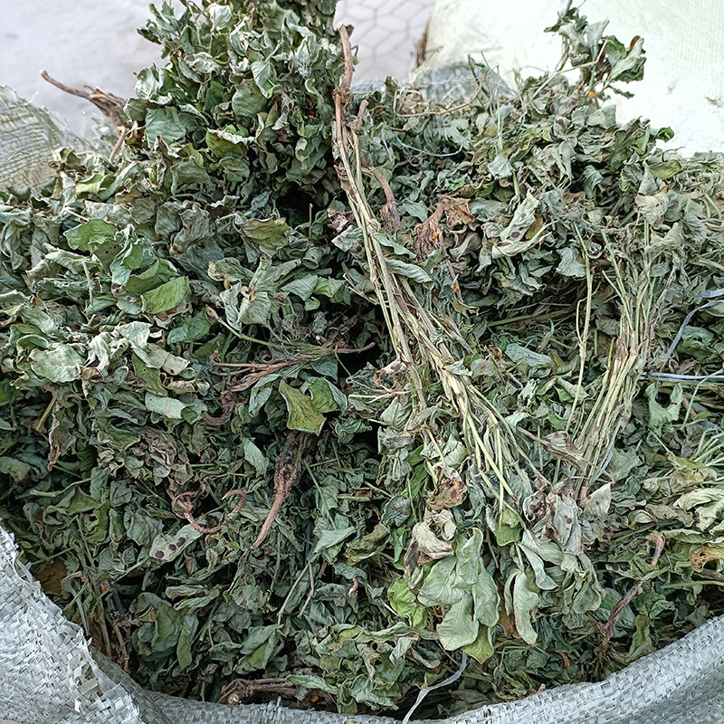 优质嫩花生瓤花生秧花期苗晒干货新货野生落花生枝叶整颗中草药