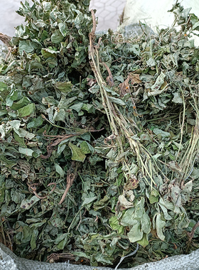 优质嫩花生瓤花生秧花期苗晒干货新货野生落花生枝叶整颗中草药