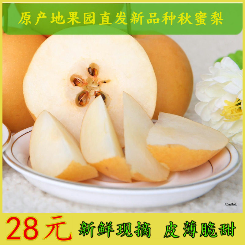 寶豐特産新鮮水果圓黃梨虎狼爬嶺梨非砀山梨酥梨當季現摘4斤包郵在類目 水產肉類/新鮮蔬果/熟食, 新鮮水果, 梨中 - 來自Buy2taobao.com提供專業的淘寶代購服務