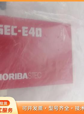 HORIBA流量计SEC-E40 N2 10SLMP