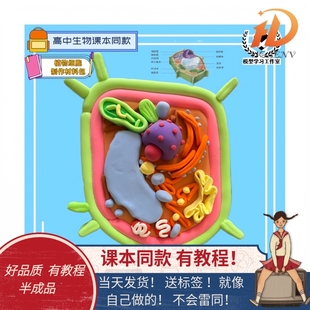 生物动植物真核细胞模型初高中手工动物植物材料包成品DNA双螺旋