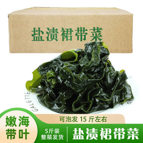 盐渍裙带菜整箱5斤大连