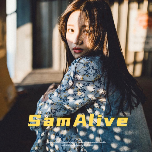SamAlive 大自然光 人像 风光 景物 摄影参考学习素材