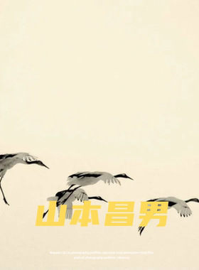 山本昌男 Masao Yamamoto 禅意风景摄影参考学习素材