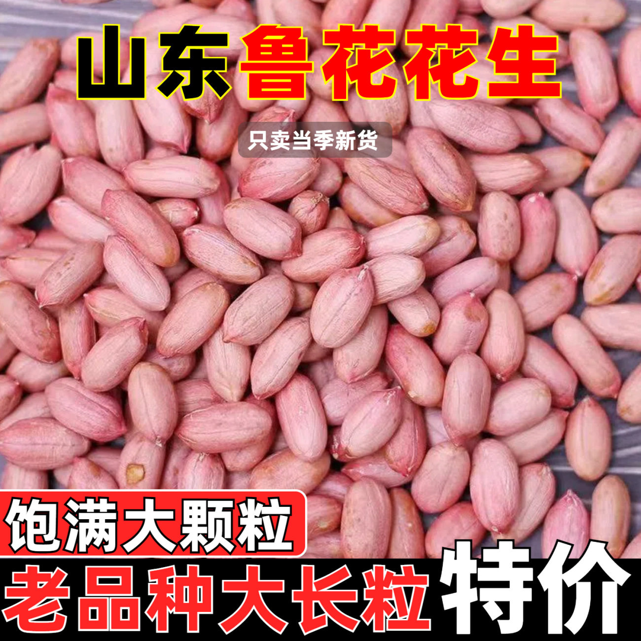 山东花生2025新货长粒花生米颗粒大粒白沙新鲜特大精选花生仁