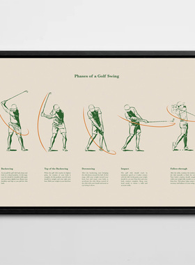 无框画现代简约装饰画挂画墙壁健身房插画小众艺术高尔夫球场GOLF