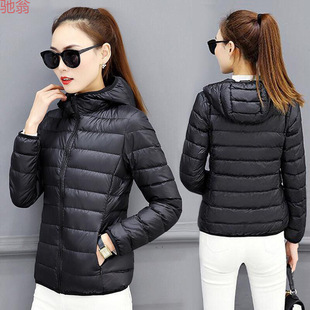 工装 Y9Z工厂直销羽绒棉服女2024新款 轻薄立领秋冬棉衣短外套修身