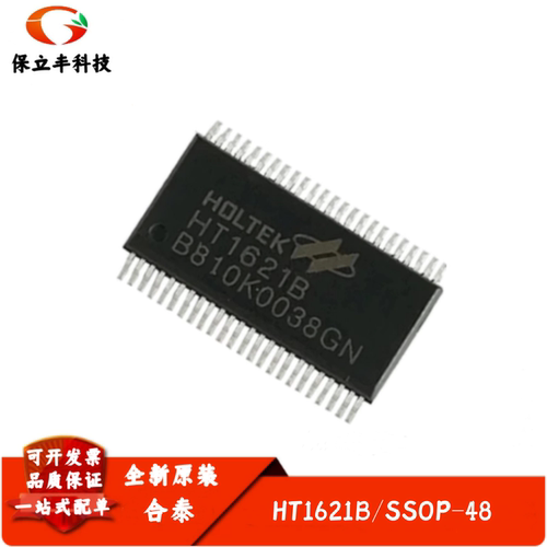 全新进口 HT1621B LCD驱动器芯片/RAM映射/液晶芯片 封装SSOP-48