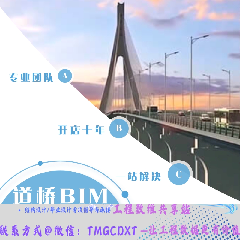 代做BIM Civil3D Dynamo Revit隧道 盾构 道路 市政 精细化建模