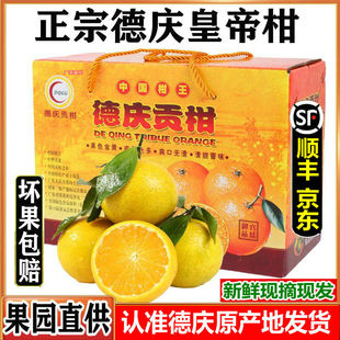 顺丰正宗德庆皇帝柑当季新鲜水果贡柑蜜橘砂糖桔中大果5/10斤包邮