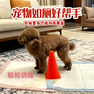 公狗尿尿立柱防乱尿小狗定点上厕所神器导尿柱子狗狗撒尿引导立柱