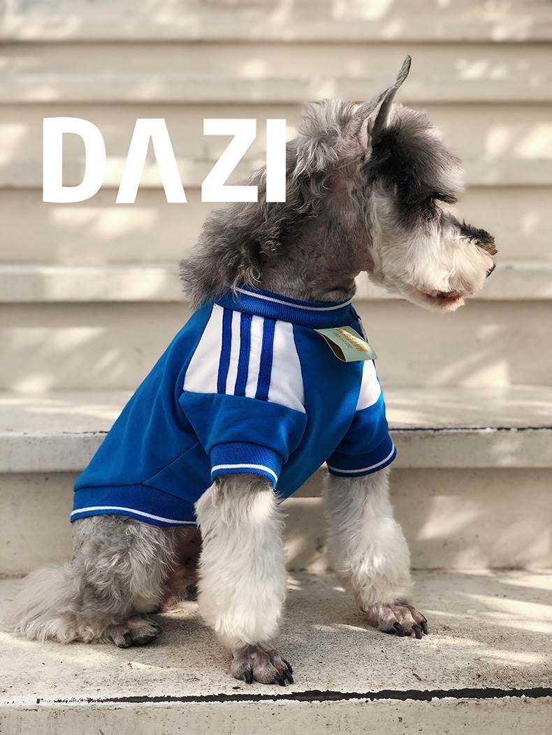大子原创春秋款蓝色三道杠宠物狗校园运动卫衣 雪纳瑞西高地泰迪
