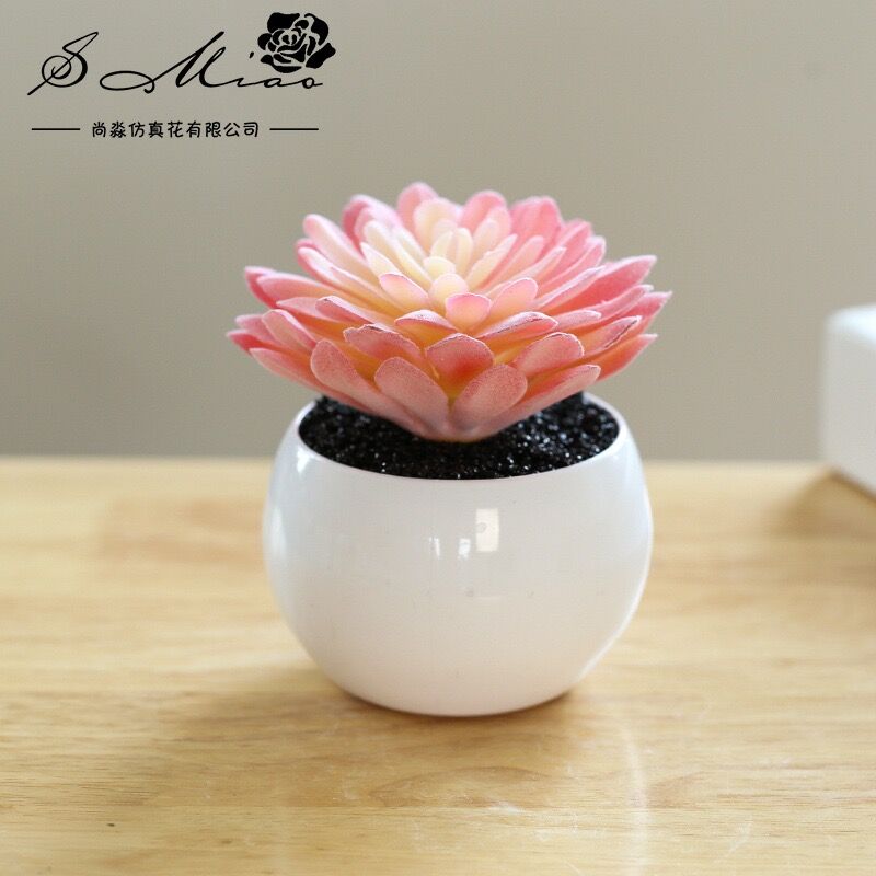 创意仿真多肉植物盆景创意小摆件仿真花家居装饰品防绿植物草盆栽