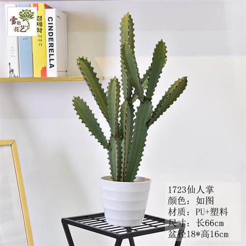 仿真仙人掌家居客厅装饰假植物盆栽热带沙漠盆景室内仿真仙人球