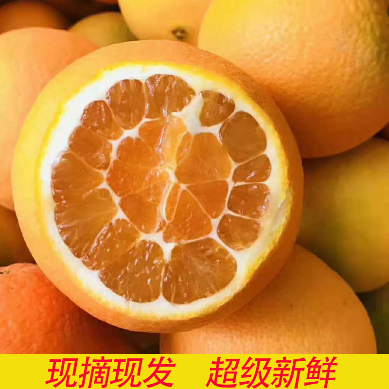 橙子10斤新鲜水果当季整箱湖北宜昌脐橙秭归纽荷尔橙子,水产肉类/新鲜蔬果/熟食,橙,淘宝优惠券,粉丝福利购,淘宝优惠卷