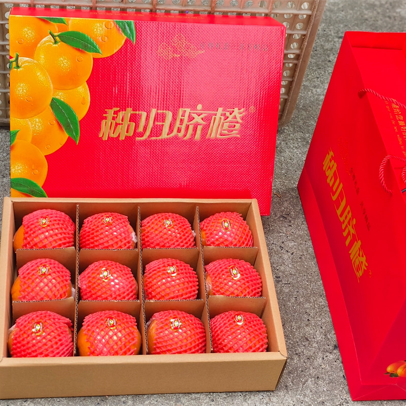 春橙伦晚大果10/5斤新鲜水果包邮当季现摘手剥孕妇整箱甜橙子
