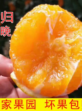 春橙伦晚大果10/5斤新鲜水果包邮当季现摘手剥孕妇整箱甜橙子