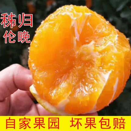 春橙伦晚大果10/5斤新鲜水果包邮当季现摘手剥孕妇整箱甜橙子