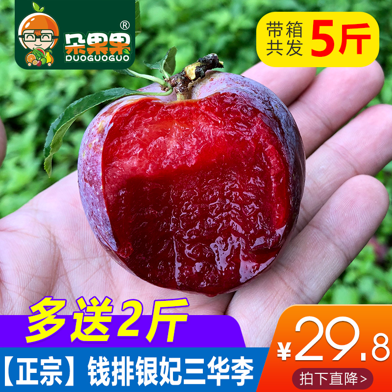 李憲強著