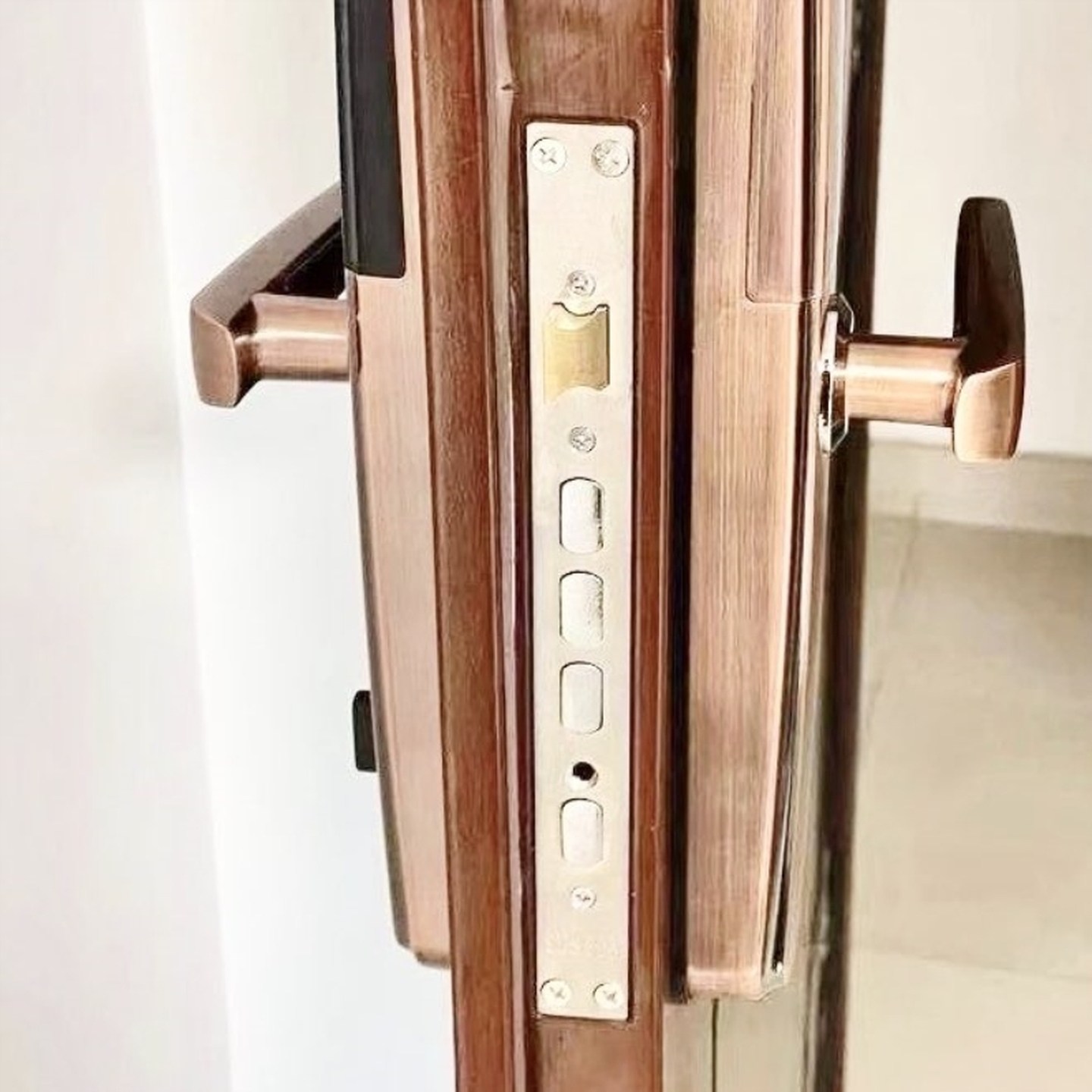 双活304不锈钢锁具老式指纹锁入户通用型单活锁芯防盗门锁体家用,基础建材,锁具配件,淘宝优惠券,粉丝福利购,淘宝优惠卷