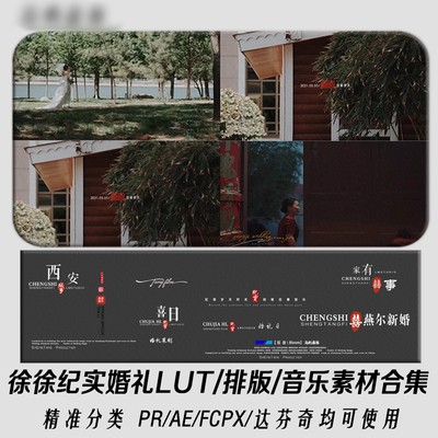 百款徐徐纪实纪实温情氛围婚礼跟拍LUT预设胶片色/调色PR滤镜排版