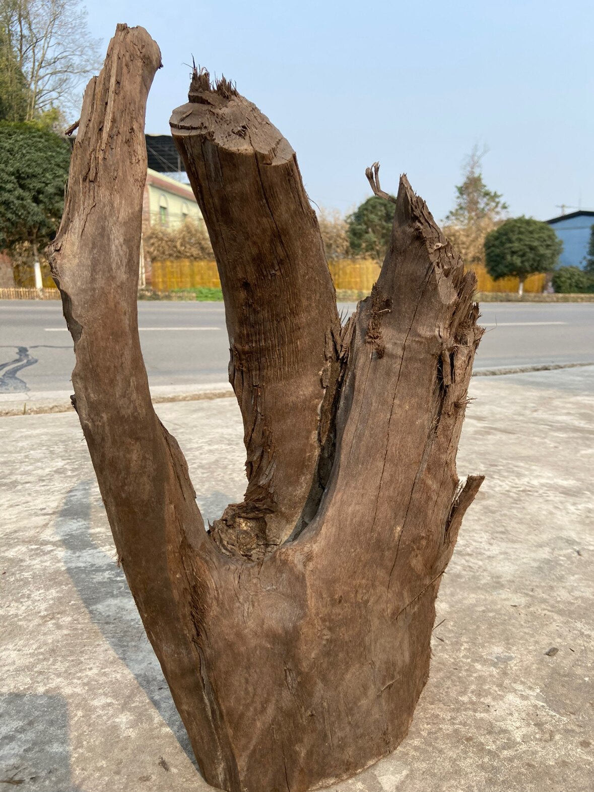 阴沉金丝楠乌木料小叶桢楠金丝楠木料树根摆件料,雕刻料60-35-20